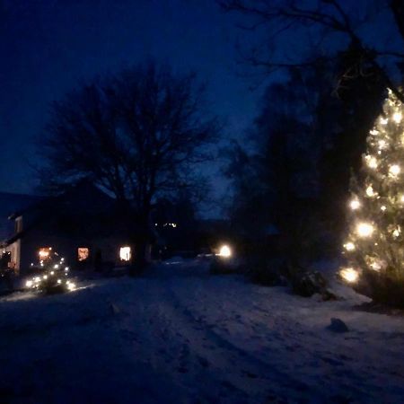 Pfaffensteghof Appartement Rickenbach  Buitenkant foto