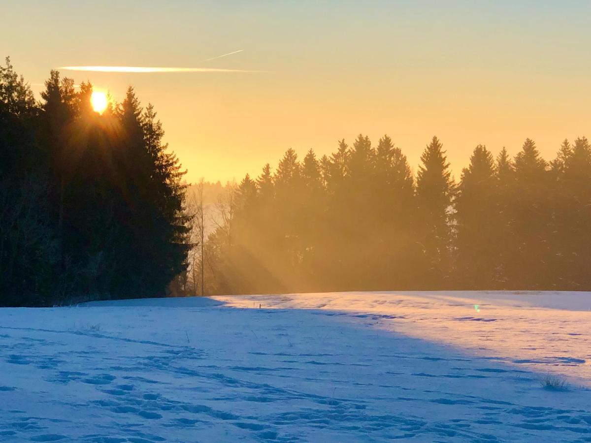 Pfaffensteghof Appartement Rickenbach  Buitenkant foto