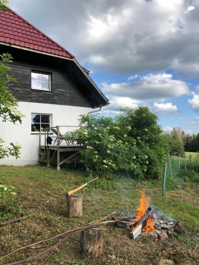 Pfaffensteghof Appartement Rickenbach  Buitenkant foto