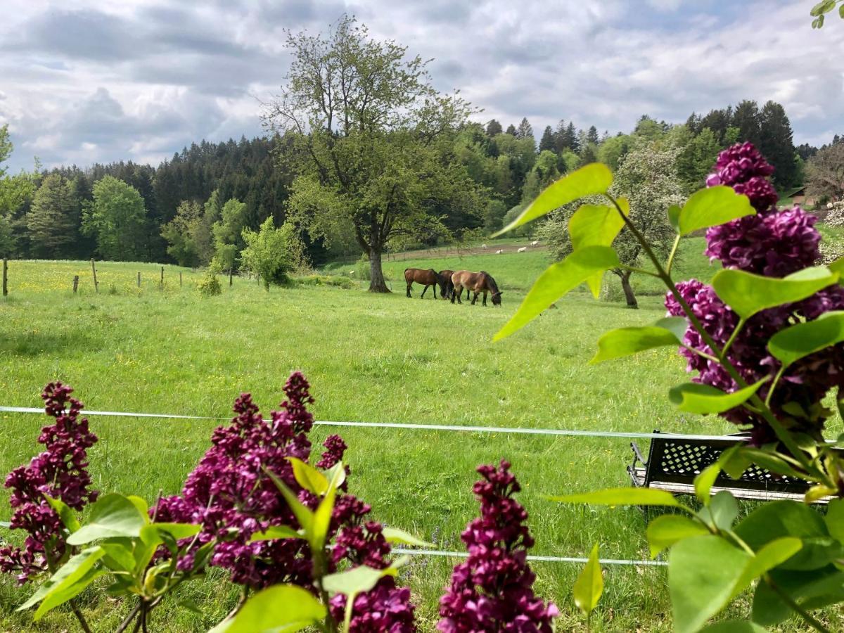 Pfaffensteghof Appartement Rickenbach  Buitenkant foto