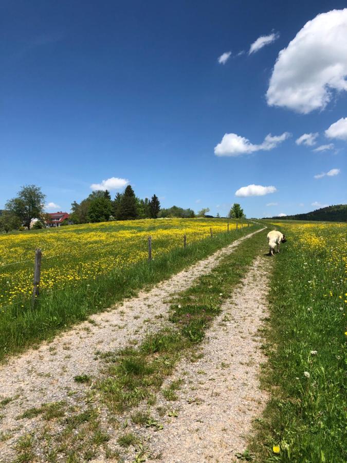 Pfaffensteghof Appartement Rickenbach  Buitenkant foto