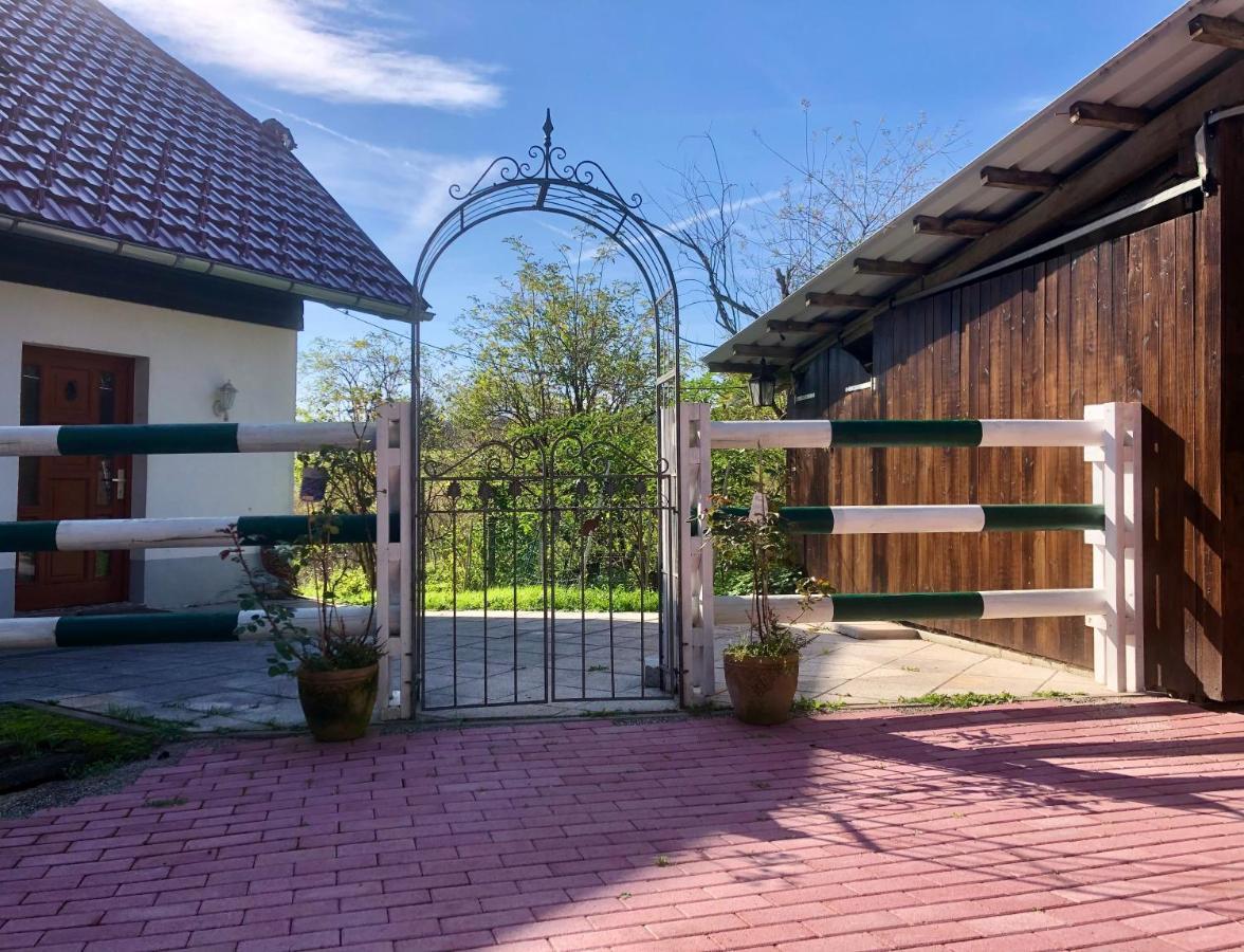 Pfaffensteghof Appartement Rickenbach  Buitenkant foto